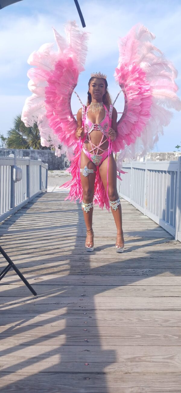 Pink Mas – Utopia (Frontline)