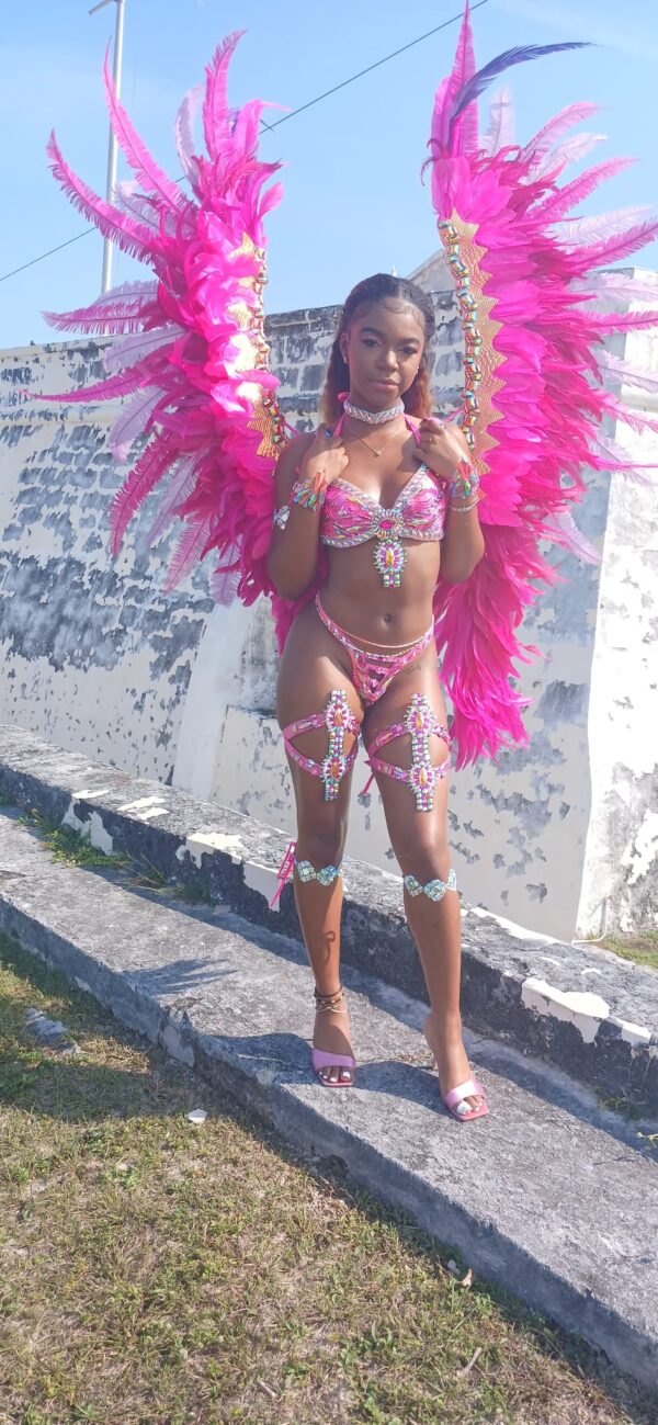 Pink Mas – Utopia (Frontline)