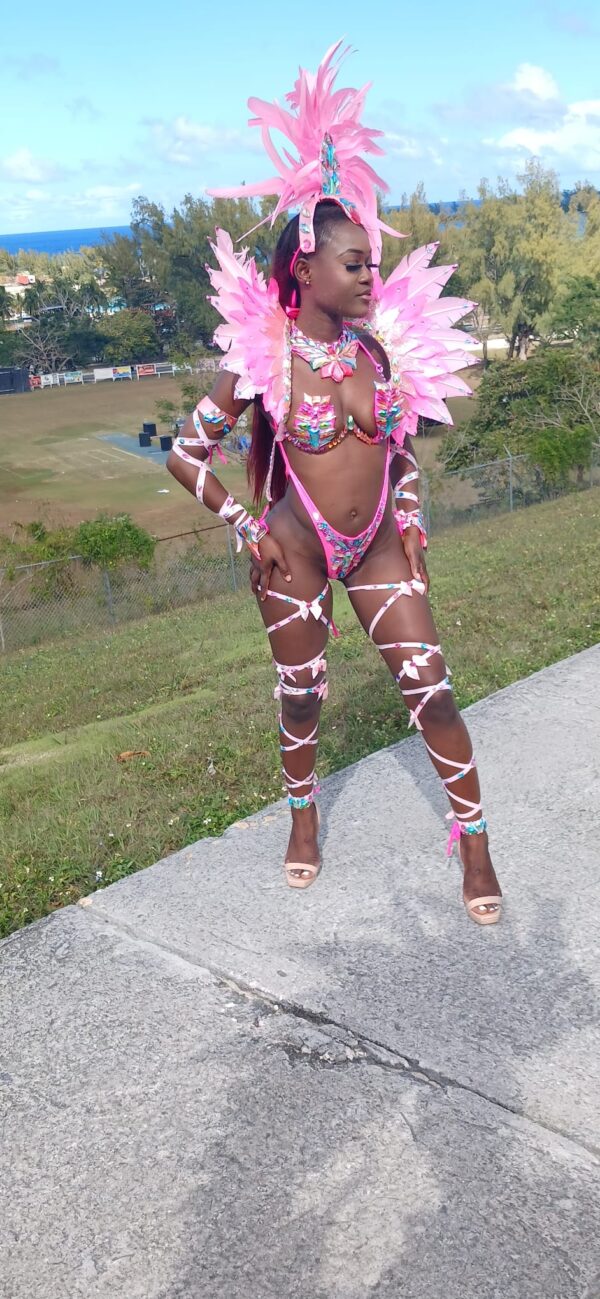 Pink Mas – Flutter (Mid Section)